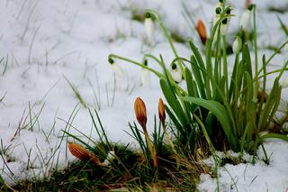 Czeka nas zmiana pogody! Temperatura spadnie, możliwy śnieg