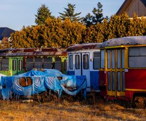 Zobacz kolekcję starych tramwajów w prywatnym ogrodzie - zdjęcia. Wagony stoją na działce w Warszawie