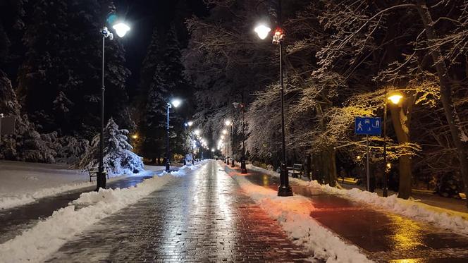 Atak zimy we Wrocławiu. Sypnęło śniegiem! Zobacz zdjęcia [GALERIA]