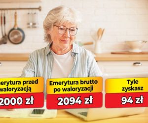 Waloryzacja emerytur 4,69 