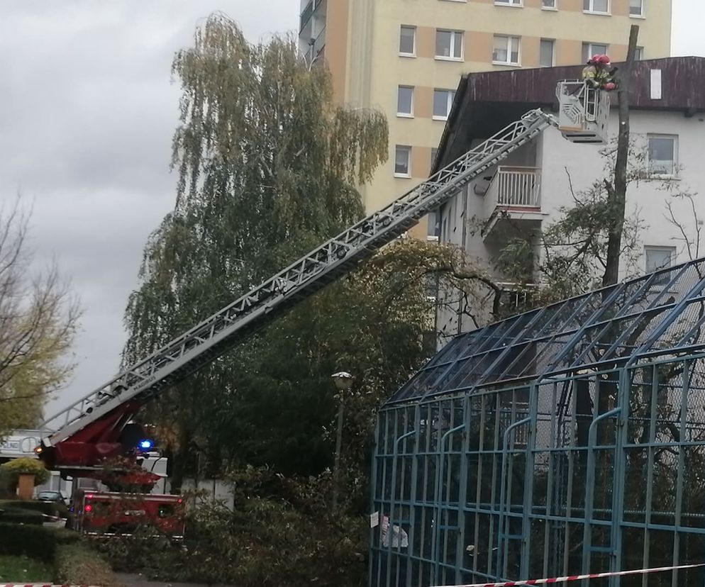 Wichura w Poznaniu. W regionie dwa tysiące interwencji strażaków