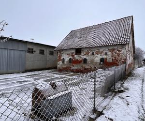 Rodzinny koszmar we wsi Spytajny. Jan udusił Halinę, a potem popełnił samobójstwo?!