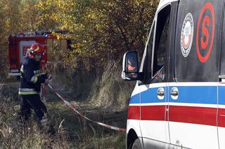 Katastrofa lotnicza w Kościelcu. Szybowiec spadł do lasu, nie żyją dwie osoby [ZDJĘCIA]