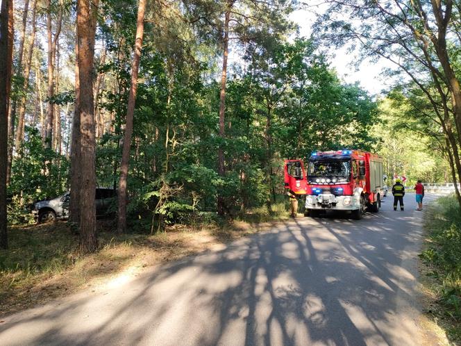 Wypadek pod Toruniem. Zakrwawiony kierowca wjechał autem w las