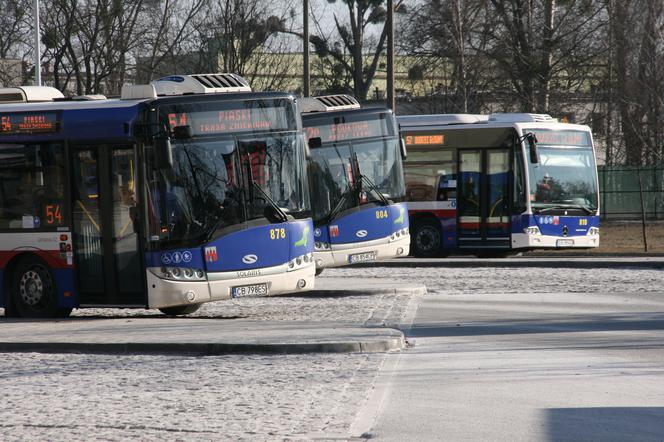 W mieście będzie czystsze powietrze! Bydgoszcz przymierza się do zakupu autobusów elektrycznych