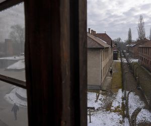  W poniedziałek 80. rocznica wyzwolenia niemieckiego obozu zagłady Auschwitz–Birkenau