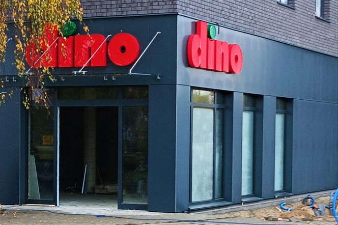 Chciała pracować w Dino. Ujawnia, ile płacą!