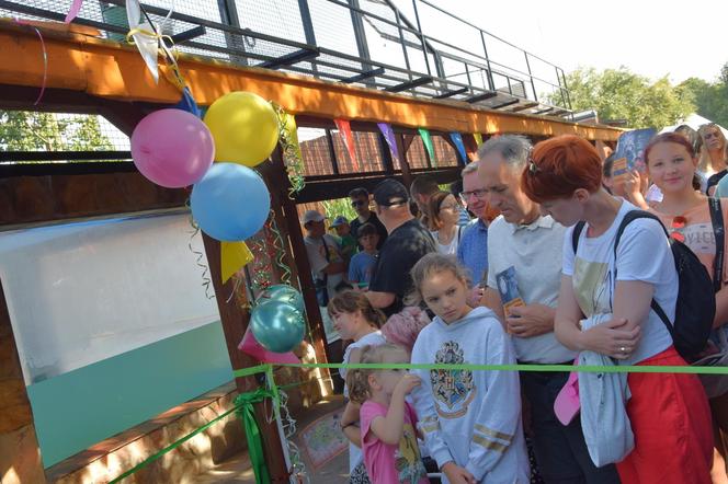 Zoo Borysew może się pochwalić jedynym takim obiektem w Europie. To basen dla białych tygrysów [ZDJĘCIA]. 