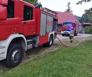 Wilkowisko. Straszny pożar pozbawił domu Barbarę i trójkę jej dzieci. Podpalacz nie miał litości dla rodziny