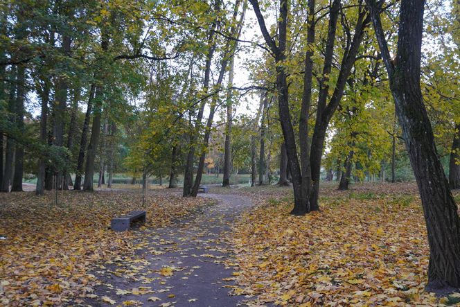 Park Lubomirskich w Białymstoku jesienią 