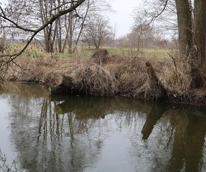 Spacer doliną Bystrzycy na lubelskim Wrotkowie