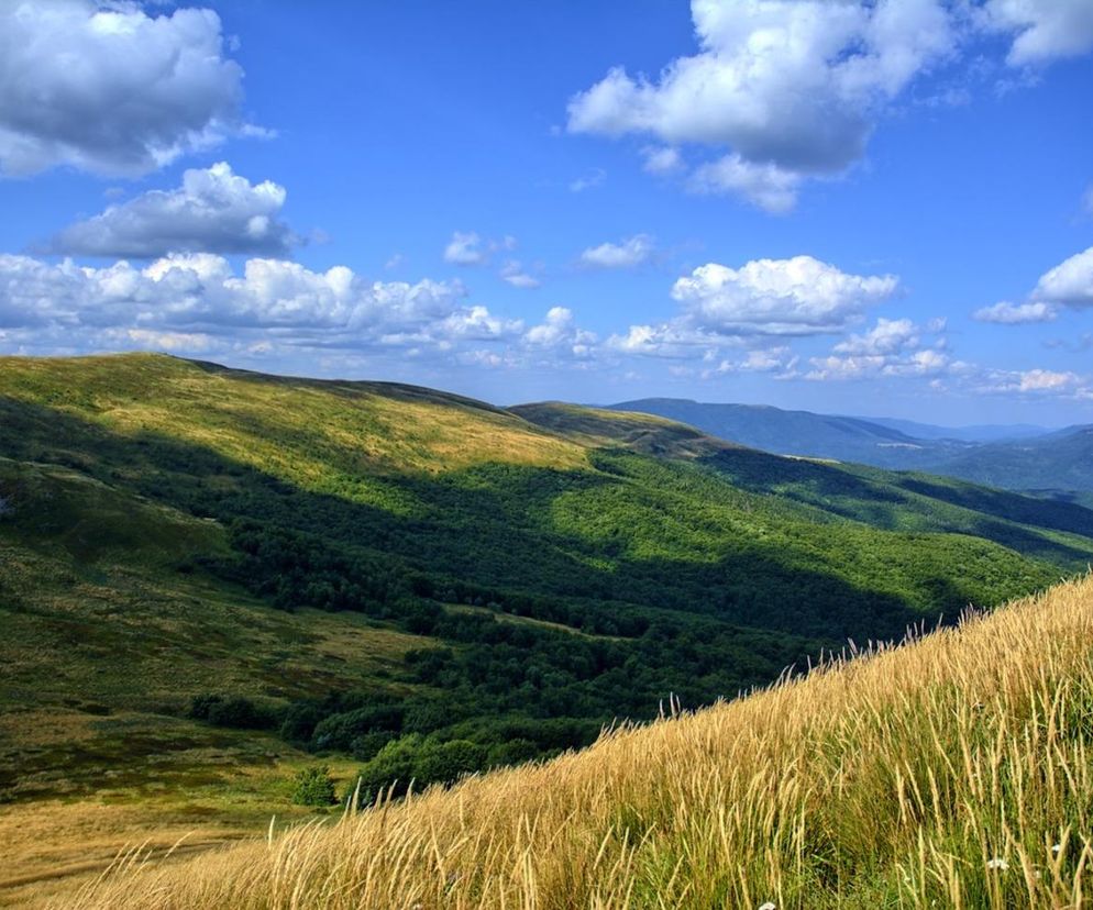 Bieszczady