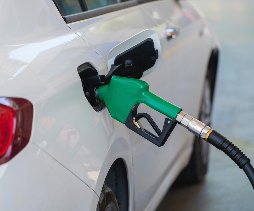 Ile paliwa możesz kupić za średnią krajową w UE? W Polsce nie poszalejesz