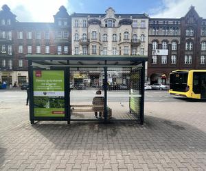 Katowice mają już pierwszy zielony przystanek. Stanął na ulicy Mickiewicza 