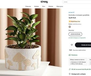 Jesień w Sinsay 2025