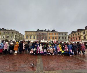  Zamojskie przedszkola i szkoły dekorowały choinki