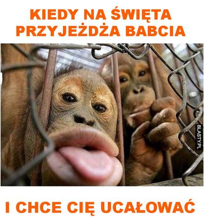 Wielkanoc 2020. Top 10 najlepszych memów na święta wielkanocne!