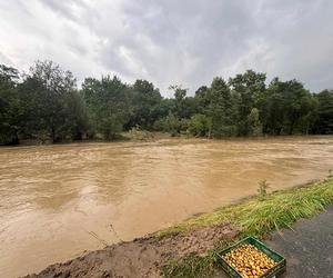 Byli pierwsi na miejscu. Ostrzeszowscy eksploratorzy z pomocą dla powodzian [ZDJĘCIA]