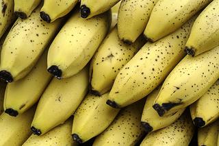 Lidl we Wrocławiu: Klient znalazł w bananach kokon groźnego pająka