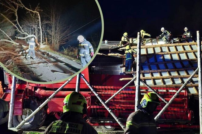 Zerwane dachy i powalone drzewa w Śląskiem. Przez wieczorny wiatr strażacy mieli dużo roboty ZDJĘCIA