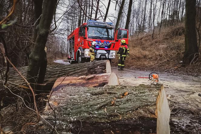 Strażacy usuwają powalone drzewa