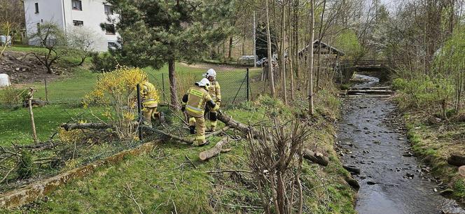 Wichury w Beskidach. Interwencje strażaków. Powalone drzewa, zniszczone linie i auta 