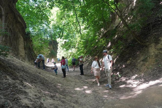 Sandomierz. Wąwóz Św. Królowej Jadwigi