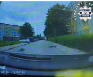 7-latek na rowerze wjechał pod samochód! Dziecko było bez opieki