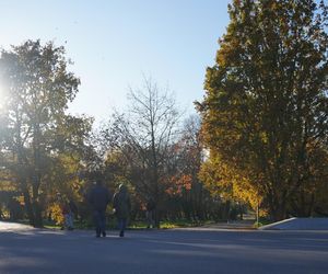 Park Ludowy w listopadowej odsłonie! Zdjęcia