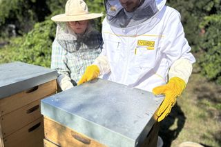 Koksownia Bytom jest nazywana fabryką chmur. Teraz produkuje też pszczoły. Ma własną pasiekę