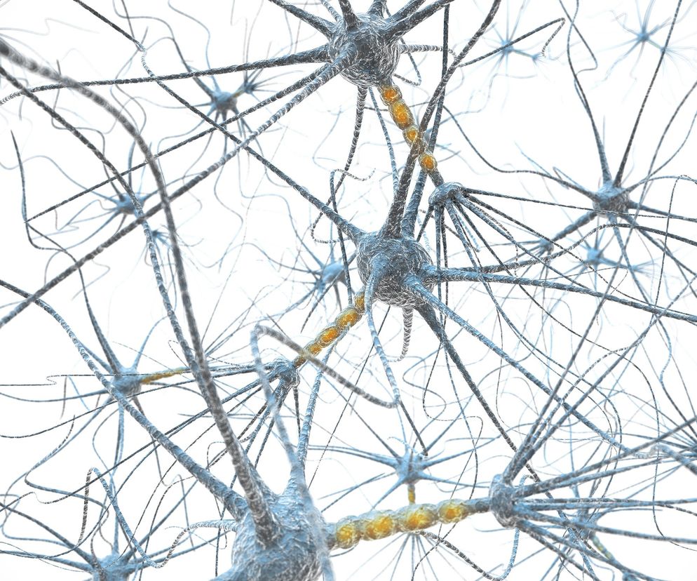 Choroba Hallervordena-Spatza  to rzadka choroba zwyrodnieniowa układu nerwowego.