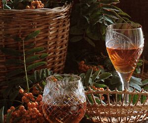 Pyszne domowe wino z owoców jarzębiny