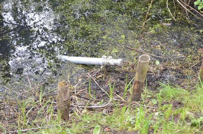 Łaziska. Tornado GŁUPOTY na ścieżkach zdrowia! Wandale wszystko zniszczyli