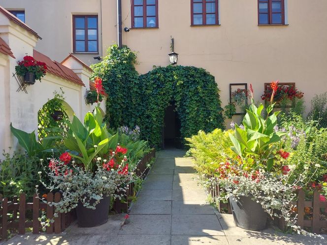 Urokliwe podwórka Starego Miasta w Zamościu