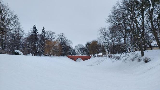 Zamojski Park pod śniegiem