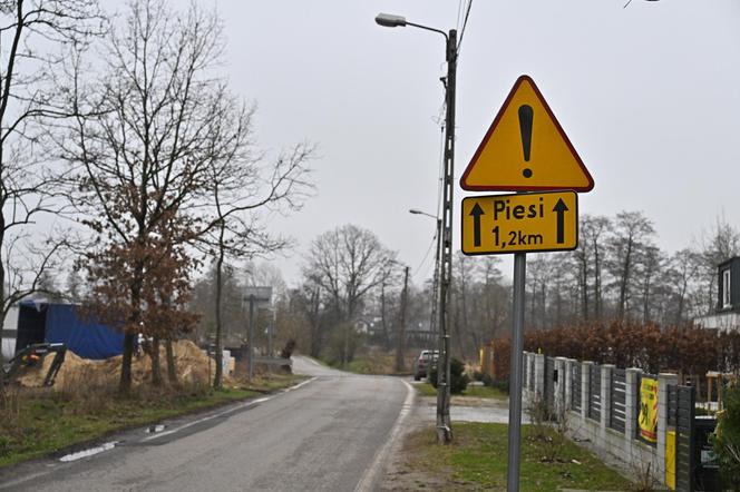 "Chcemy chodnika i autobusu". Mieszkańcy ul. Szamocin na Białołęce apelują do urzędników