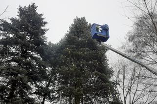 Choinka na LSM jest już ozdobiona. Dzieci przygotowały recyklingowe ozdoby [GALERIA, WIDEO]