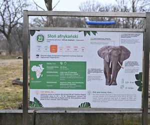Warszawskie zoo