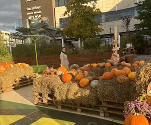 Zobacz, jak poznańskie świętują Halloween