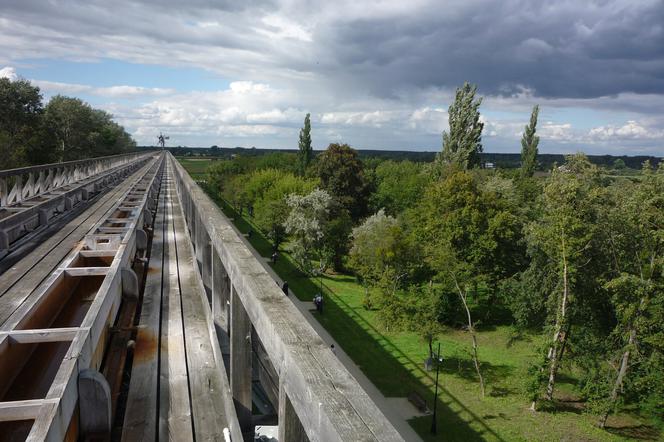 Są pieniądze na zielone przystanki, nowe parki i tereny zielone