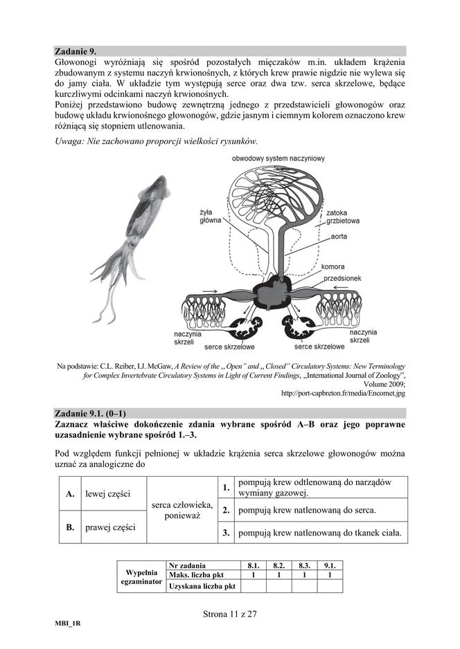 Matura 2018 z biologii [ARKUSZE CKE, ODPOWIEDZI]