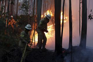 Tragiczny pożar lasów. W spalonych autach odnaleziono 18 zwęglonych ciał. Bilans ofiar rośnie