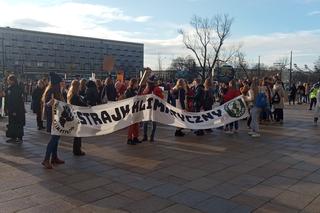 Wielki protest w Krakowie. Strajkowali w obronie klimatu 