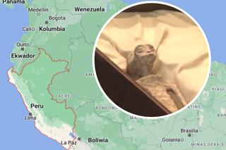 UFO znalezione w Peru? Pokazał wysuszone ciała obcych