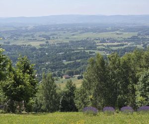 Wieża widokowa w Korczynie