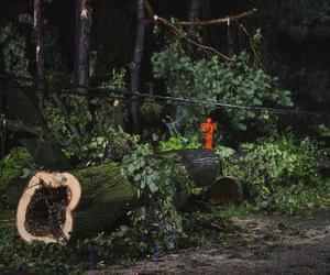 Nawałnice nad Polską. Zalane ulice, połamane drzewa i zerwane dachy