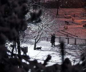 Kraków zasypany śniegiem. Armagedon na drogach. Ogromne utrudnienia w kursowaniu komunikacji miejskiej