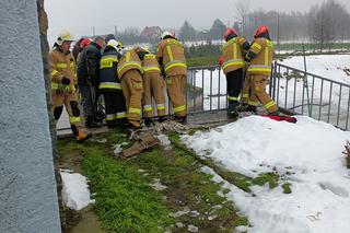  W wigilijny poranek strażacy z powiatu łęczyńskiego uratowali bobry, które utknęły na zaporze