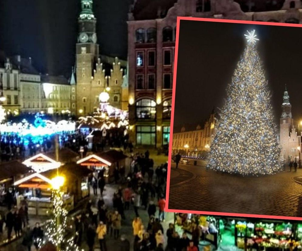 Wrocław będzie miał nową choinkę, prawie jak z lasu. Tyle będzie kosztować 