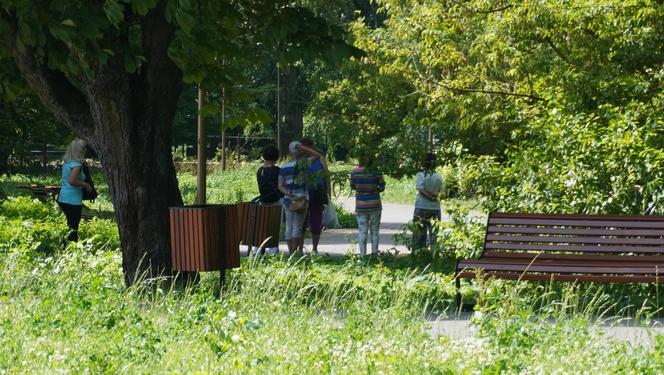Wakacyjna odsłona Parku Ludowego w Lublinie